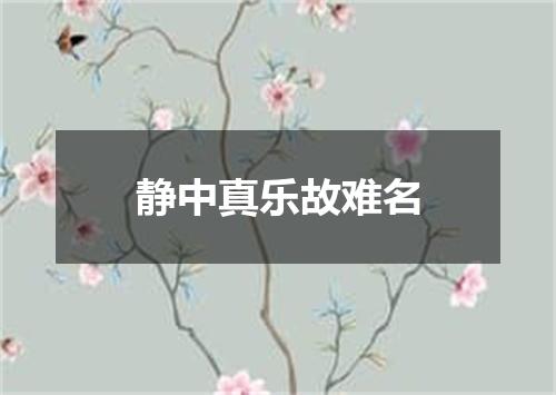 静中真乐故难名