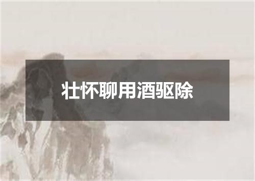 壮怀聊用酒驱除