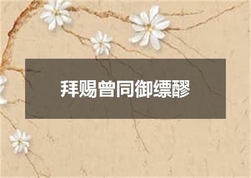 拜赐曾同御缥醪