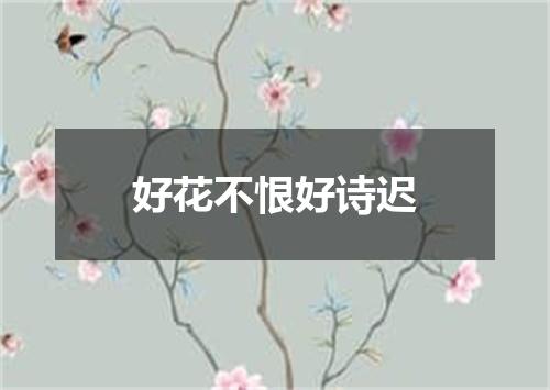 好花不恨好诗迟