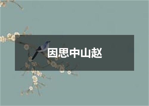 因思中山赵
