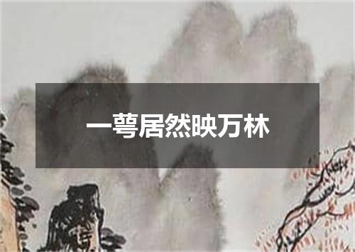 一萼居然映万林