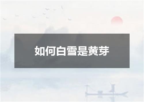 如何白雪是黄芽