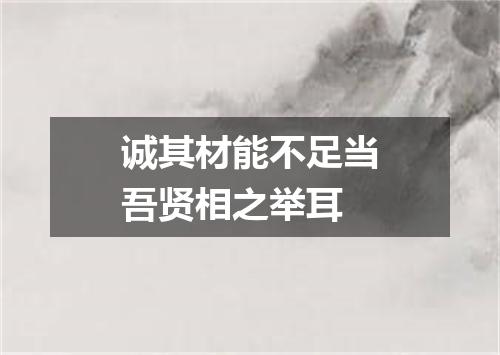 诚其材能不足当吾贤相之举耳