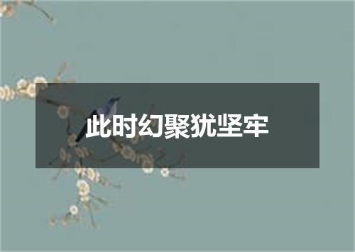 此时幻聚犹坚牢