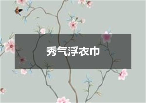 秀气浮衣巾