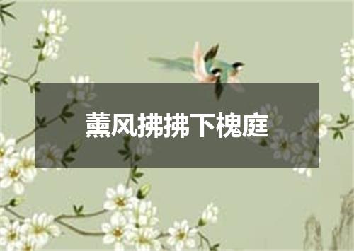薰风拂拂下槐庭