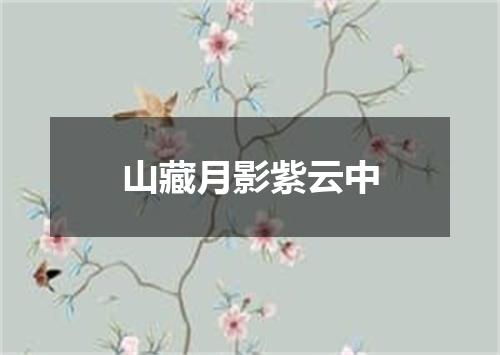 山藏月影紫云中