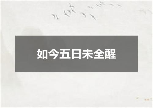 如今五日未全醒