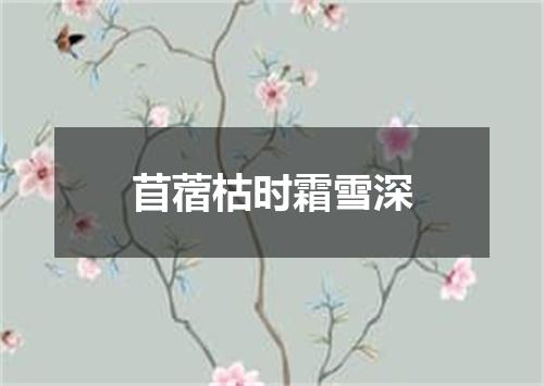 苜蓿枯时霜雪深