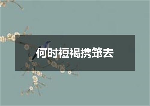 何时裋褐携筇去