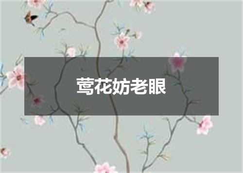 莺花妨老眼
