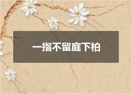 一指不留庭下柏