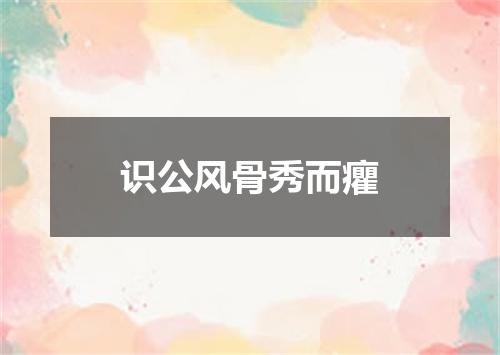 识公风骨秀而癯