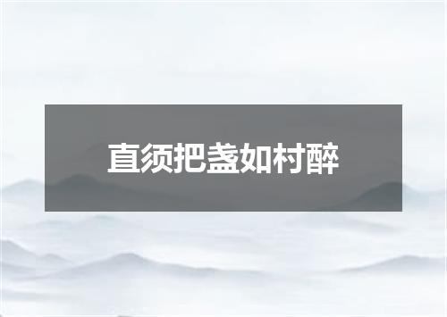 直须把盏如村醉