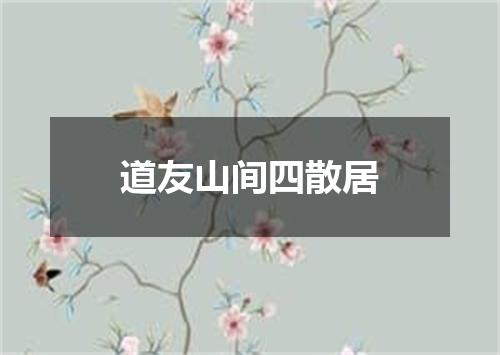 道友山间四散居