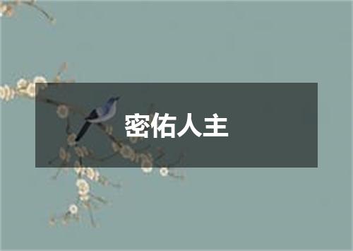 密佑人主