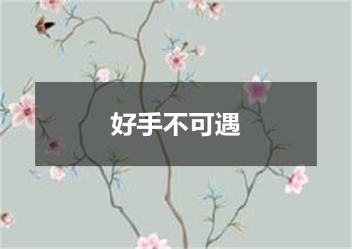好手不可遇