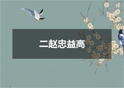 二赵忠益高