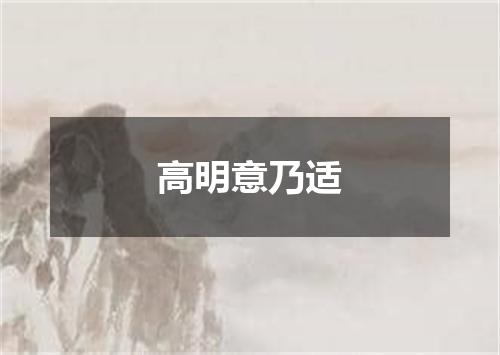 高明意乃适