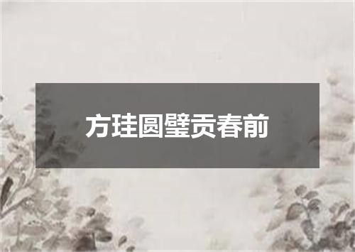 方珪圆璧贡春前