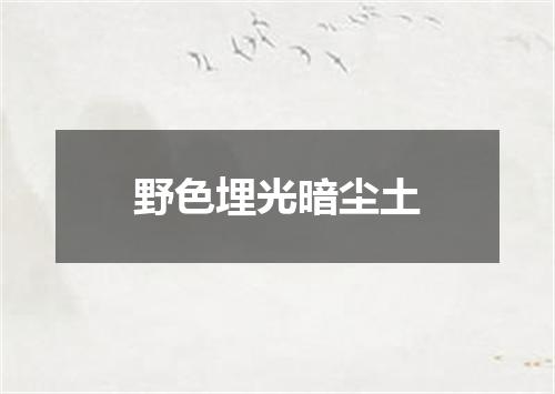 野色埋光暗尘土