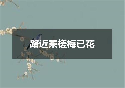 路近乘槎梅已花
