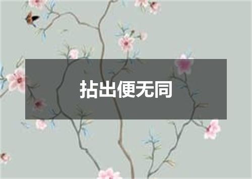 拈出便无同