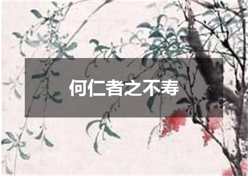 何仁者之不寿