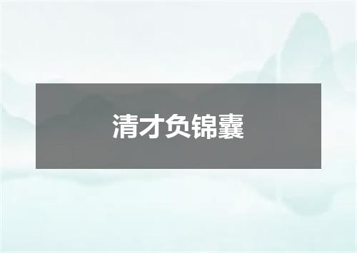 清才负锦囊