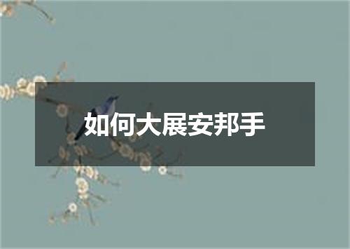 如何大展安邦手