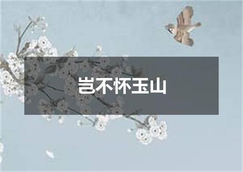 岂不怀玉山
