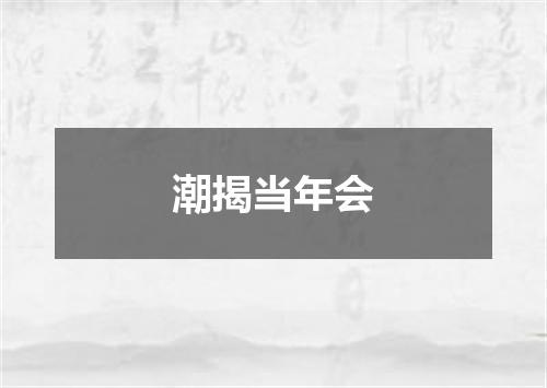 潮揭当年会