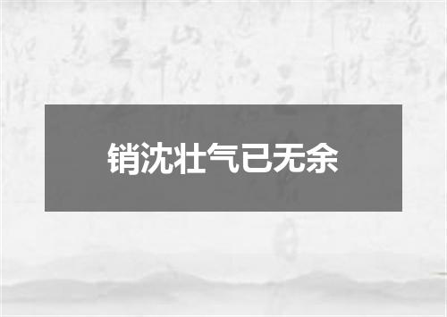 销沈壮气已无余