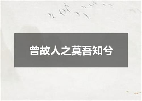 曾故人之莫吾知兮