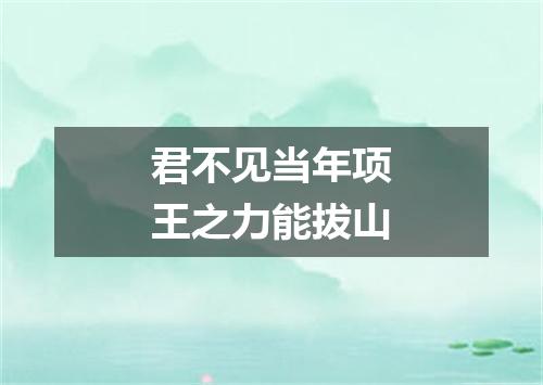 君不见当年项王之力能拔山