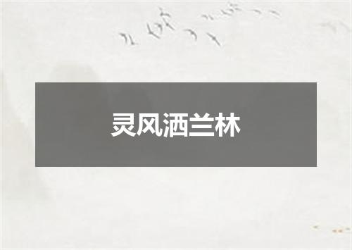 灵风洒兰林