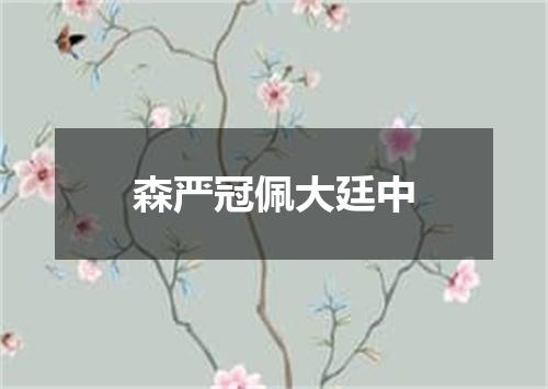 森严冠佩大廷中
