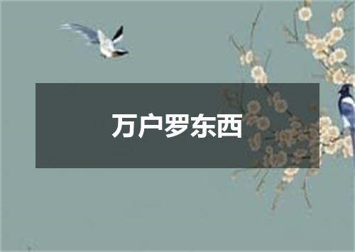 万户罗东西