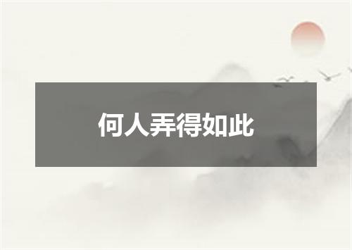 何人弄得如此