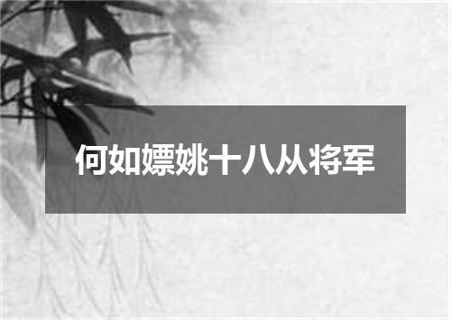 何如嫖姚十八从将军