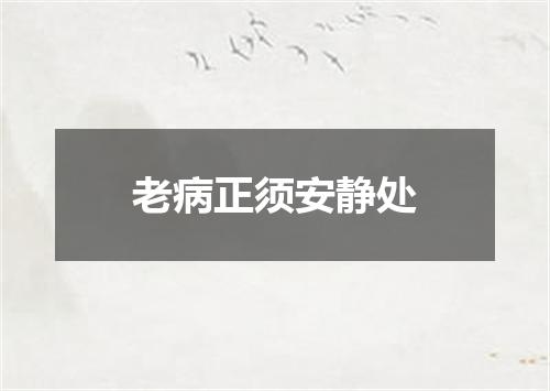 老病正须安静处