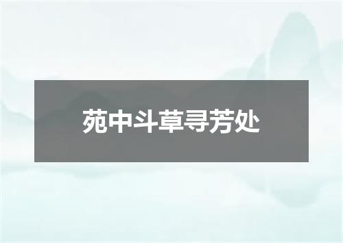 苑中斗草寻芳处