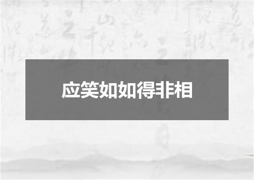 应笑如如得非相