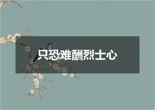 只恐难酬烈士心