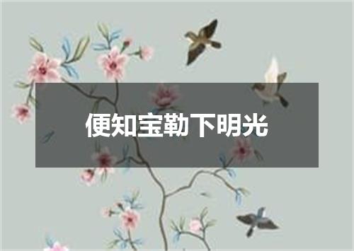 便知宝勒下明光