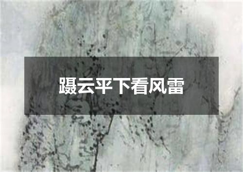 蹑云平下看风雷