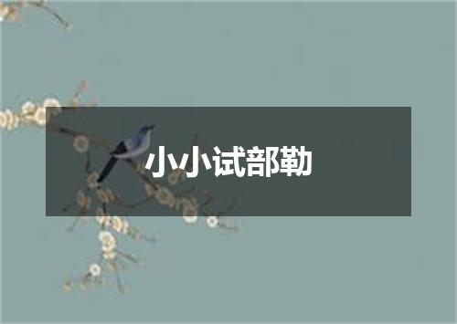 小小试部勒