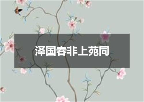 泽国春非上苑同