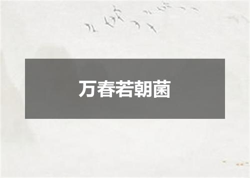 万春若朝菌